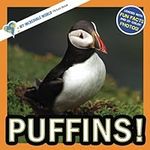 Puffins!: A My Incredible World Pic
