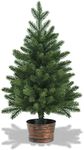 COSTWAY 2FT/60CM Christmas Tree, Small Artificial Xmas Trees with Pine Cones and Base, Holiday Decoration for Indoor Tabletop Garden Pathway