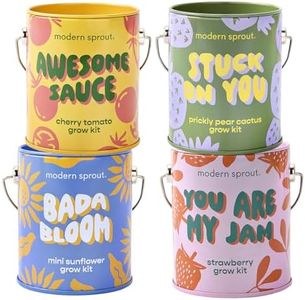 Modern Sprout Complimentary Color Grow Kits (Pack of 4) - Gift for Plant Lovers - Seed Starter Kit - Includes Organic Strawberry Tomato Sunflower & Cactus Seeds - Gardening Gifts that Grows with Love
