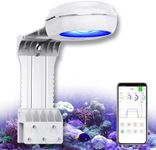 PopBloom RL60 Full Spectrum Reef Li