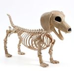 JOYIN Halloween Wiener Dog Skeleton 24” Plastic Animal Skeleton Decorations with Posable Joints for Graveyard Scenes Haunted House Prop Party Decor Indoor Outdoor