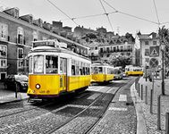 Pintoo Jigsaw Puzzles 500 Piece for Adults - Yellow Trams in Lisbon Beautiful Plastic Puzzle for Home Decor Zero Dust Easy Storage [H1767]