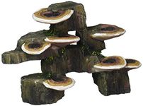 Penn-Plax Deco-Replicas Tree Trunk with Shelf Mushrooms Aquarium Decoration – Safe for Freshwater and Saltwater Fish Tanks – Small