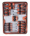 Buildskill 17 Pieces Screwdriver Set, Screwdriver with Ergonomic Non-Slip Grip, With Carry Bag, Wear-Resistant Phillips & Flathead Tips, Chrome Vanadium Shaft, Stubby Screwdriver Included