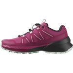 Salomon Women's Speedcross Peak Running Shoe, Black/Nightshade/Orchid Petal, 6 UK