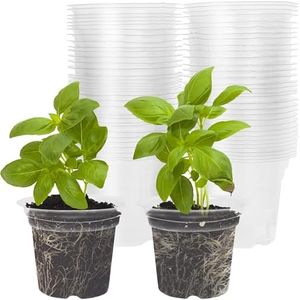 winemana 60 Packs 3 Inch Clear Nursery Pots for Plants, Transparent Plastic Planter with Drainage Holes, Seedling Planter Seed Starter Garden Flower Pots for Plant Propagation