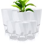 Self-watering Planters