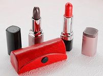 The StoreKing Leather Lipstick Case Holder - Organizer Bag for Purse- lipstick holder- Durable Soft Leather -Cosmetic Storage Kit With Mirror (Red)