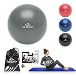 Seatwith Pilates Ball 23 cm / 9 Inches Pilates Ball with transport bag & free e-book - ideal for beginners & advanced users - Yoga Ball, Physio Ball, Pilates Small Ball, Pilates Mini Ball - GRAY