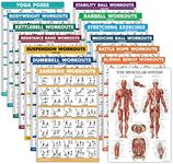 14 Pack - Exercise Poster Set: Dumbbell, Suspension, Kettlebell, Resistance Bands, Stretching, Muscular, Medicine Ball, Battle Rope, Bodyweight, Barbell, Yoga, Exercise Ball (LAMINATED, 18" x 24")