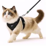 Buraq No Pull Cat Harness with Leash, Escape Proof, Ultra-Light Weight, Air Mesh Fabric, Aesthetic Design Adjustable Cat Leash with Harness (M - Black)