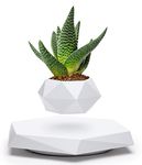 BandD Floating Plant Pot - Levitating Plant Pot for Succulents, Air Bonsai, & Air Plants. Floating Planter for Home, Office & Desk Levitating Decor. Magnetic Floating Levitating Display. (White)