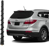 KSaAuto Antenna for Hyundai Santa F