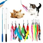 12 Pcs Cat Feather Toy, Feather Refills Set, Cat Teaser Retractable with Beads Bells, Fish Toy Retractable Cat Wand Toys Interactive Cat Toys for for Indoor Cats Exercising Kitten Toys