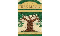 Celtic Tree Magic: Ogham Lore and Druid Mysteries