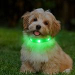 Light Up Dog Collar for Small Dogs Rechargeable LED Dog Collar for Puppy Super Bright with Flashing Mode Adjustable Lightweight Soft Dog Colalr for Puppies - Green