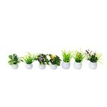 EXCEART 7PCS Dollhouse Flower Pots Miniature Green Plant Flower In Pot Fairy For 1:12 Miniature Dollhouse Kit DIY Furniture Decoration Garden Accessory