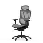 FLEXISPOT C7B-Air Ergonomic Executive Mesh Office Chair Swivel Height Adjustable Seat Headrest Armrest and Independent Lumbar Support Caster Wheels Task Chair Black Office Desk Chair