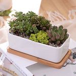 FURN ASPIRE Rectangle White Ceramic Succulent Planter Pot, Modern Minimalist Flower Cactus Pot, with Bamboo Tray and Drainage Hole for Home Office Décor (Plant NOT Included) Rectangle Ceramic Planter