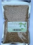 Wheat Grass Seed 1lb - Guaranteed t