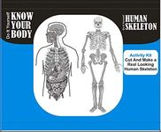 StepsToDo do it yourself human skeleton and know your body activity kit- for 10 years and up, Multicolor