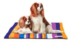 KIBBO Pet Mat for Dogs and Cats | Lightweight and Portable | Durable, Washable, Anti Slip Base and Stripe Design | Suitable for Small & Medium Breeds, Orange Purple (99x68.5 CM)