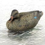 GIGYES Floating Gadwall Duck Decoys, Teal Duck Decoys, Ultra Realistic Female Mallard Duck Decoys for Hunting Fans.