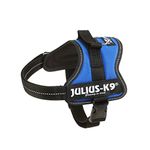 JULIUS-K9Powerharness, Size: XS/Mini-Mini, Blue