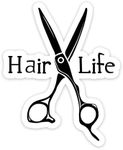 Hair Life Sticker, 2 Pack Clear Hai