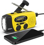 Emergency Weather Radio, Esky AM/FM