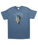 Fea Merchandising Eagles Greatest Hits Blue T-Shirt (Large)