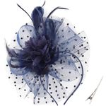 DRESHOW Fascinators Hat Feather Headband Women's Fascinators Tea Party Headwear with Clip Flower Head Band for Girls & Women