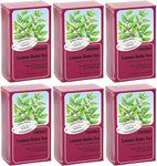 Floradix Lemon Balm Organic Herbal Tea 15 Bag (Pack of 6)