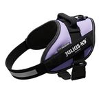 Julius-K9, 16IDC-PR-0, IDC Powerharness, Dog Harness, Size: 0, Purple