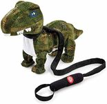Pitter Patter Pets Dance With Me Dinosaur Electronic Pet For Children From 3 Years Dinosaur Toys Walking With Dinosaurs Dancing Toy Electronic Pets Walking Dinosaur Toy Live Animals Kids Toy