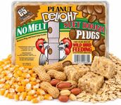 C&S Peanut Delight No Melt Suet Plugs, 16 4-Packs