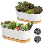 ARVINKEY White Ceramic Succulent Plant Pots, Indoor and Outdoor Succulent Planters, Set of 2 Small Cactus Containers, Bonsai Pots, Flower Pots with Drainage Hole and Bamboo Bowl (No Plant)