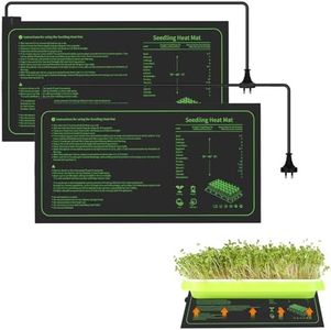 Seedling H