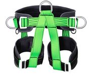 Tree Climbing Harness