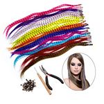 HQdeal Feather Hair Extension Kit with 52 Synthetic Feathers, 100 Beads, Pliers and Hook (mixed colors)