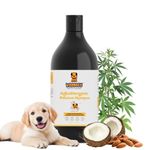 Waggety Hypoallergenic Dog Shampoo | Anti Tick & Flea Formula with Oatmeal Extract, Hempseed, Coconut & Almond Oil | Ideal for Golden Retrievers, Labradors, German Shepherds, Shih Tzus | 500 ml