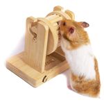 Wepets Hamster Enrichment Toys for Foraging, Rat Enrichment Toys for Pet Rats, Hamster(Dwarf, Syrian, Robo, Chinese), Mice, Gerbils