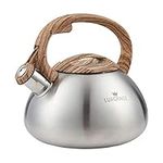Teapot Whistling Tea Kettle with Wo