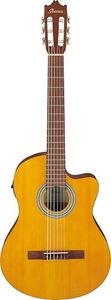 Ibanez GA3