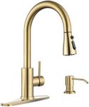 APPASO Gold Kitchen Faucet with Soa