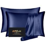 Silk Pillowcase 2 Pack, Mulberry Silk Pillow Cases Queen Size Set of 2, Anti Acne Silk Pillowcase for Hair and Skin, Natural Silk Satin Pillowcases Gifts for Women Men 2 Pack with Zipper, Navy Blue