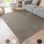 Ceneco Short Pile Rugs Living Room, Modern Indoor Taupe Rugs for Living Room, Bedroom, Dining Room, Entryway – Non-Shedding (Taupe, 60×120m)