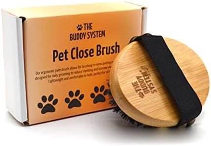 The Buddy System Pet Close Brush, Soft Touch Oval Palm Brush - Bamboo Massage Handheld with Soft Boar Bristles and Elastic Band for Dogs and Cats