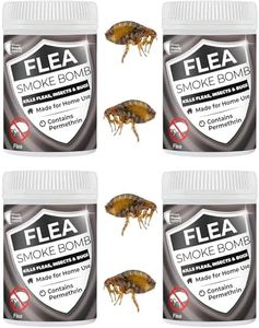 Flea Smoke