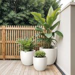 YUCCABE ITALIA FOXB PCUP 17, 15, 12 Inch Pack of 3, Pots for Plants Highly Durable Polymers Lightweight Indoor Outdoor Flower Pot Gamla Tree Planter Container for Living Room, Balcony,Garden